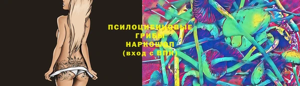 стафф Гусь-Хрустальный