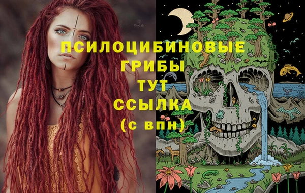 дмт Гусиноозёрск