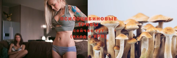 стафф Гусь-Хрустальный