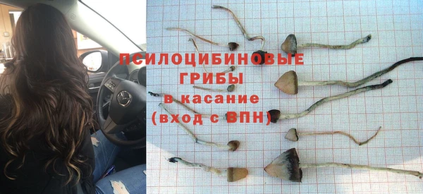 дмт Гусиноозёрск