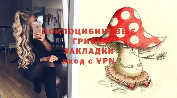 дмт Гусиноозёрск