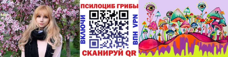 Псилоцибиновые грибы мухоморы  МЕГА онион  Армавир 